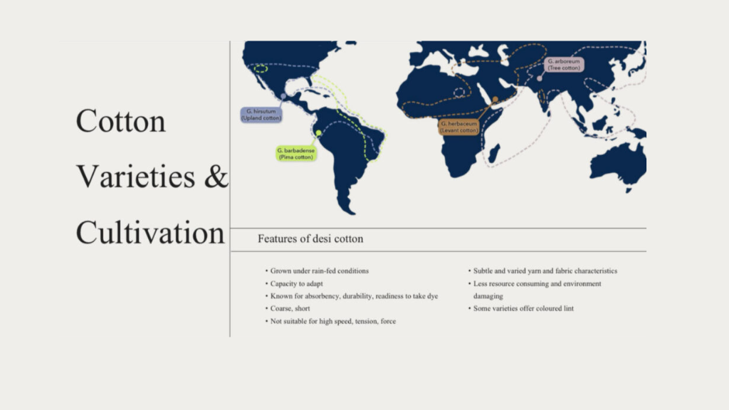 The Role of Rain-Fed Cotton in Sustainability